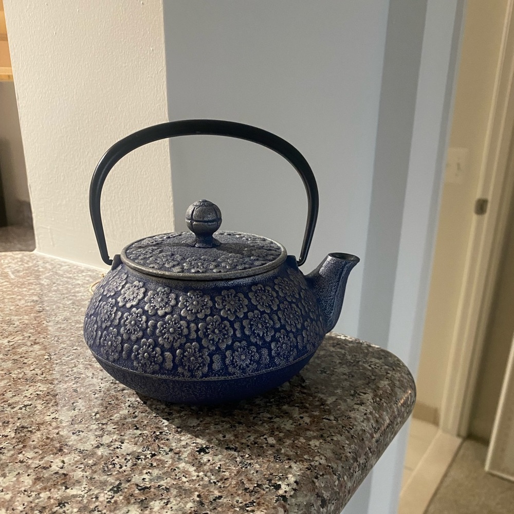 Floral Cast Iron Teapot with Filter